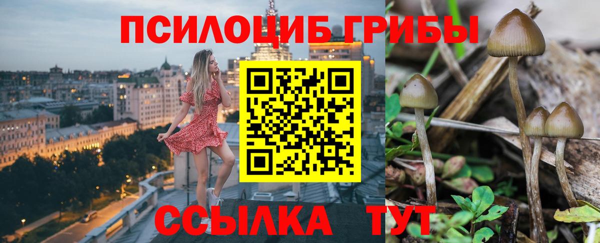 Псилоцибиновые грибы MAGIC MUSHROOMS  Вход с VPN  Острогожск 